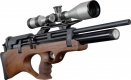 STEYR PRO X semi-automatic 10 shoots cal 5,5mm/.22 (24 Joule)