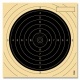 Target for rifle 50m